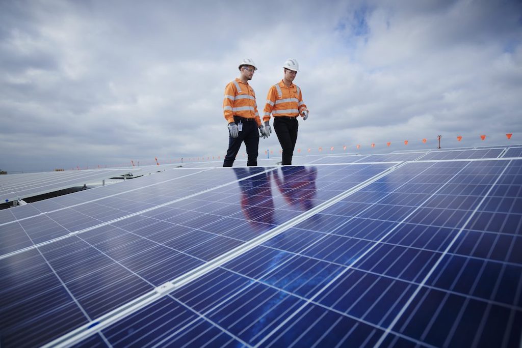 Workers walking among solar panels