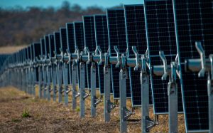 Array of solar panels at the Warwick solar farm 